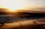 Eden Misty Sunrise