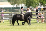 SBM_05210