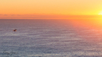Whale Sunrise 2