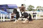 SBM_00287
