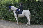 SJ3_9399