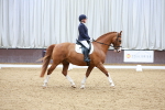 SBM_001938