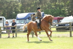 SBM_07010