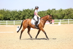 SBM_009152