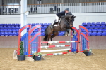 Class 8 - Senior British Novice 90cm portfolio