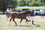 WJ6_4853