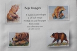 BEAR PACKAGE OF NOTECARDS
