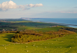 Golden Hour from Wears Hill, Abbotsbury, Dorset.