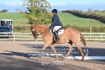 BPP_7993