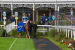 141023-Race 2-Whiskey Pete-0789