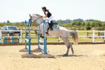 SBM_006281