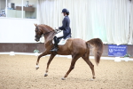 SBM_009127