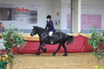 SBM_20145