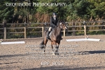 BPP_8023