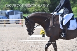 BPP_0709