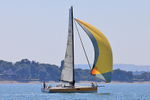 180707 HUMDINGER 1Y3A9883