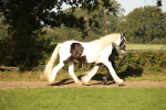 SBM_58674
