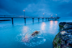 The Jetty