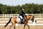 SBM_007037