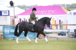 SBM_11043