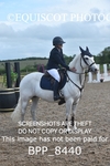 CLASS 1 British Novice / 0.80m Open portfolio