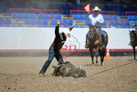 3HRodeo8-11-25_PRCASteer_05575_