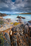 Turning Tide