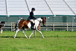 SBM_11383