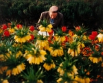 Drawing from Nature, London, 1997