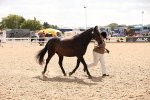 SBM_04636