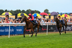 280726-Race 5-Norcross Brow-1252
