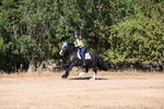 WJ6_7553