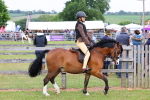 SBM_08503