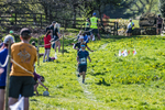 The Finish-1554