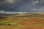 Ingra Tor, King's Tor & Great Mis Tor