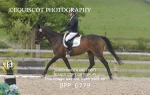 BPP_6779