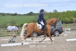 BPP_6744