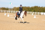 SBM_001564