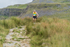 Ingleborough-1201