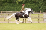 SBM_06216