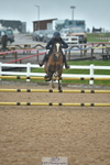 Saturday 11th Wessex Arena portfolio
