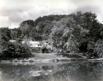 Tavistock Pond Cottage 7