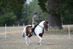 WJ7_6839