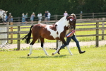 SBM_05492