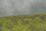 Buttermere-1