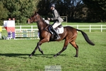 609-WHAT.A.WONDER-Harry.Robinson-TrotUp+SJ portfolio