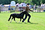 SBM_03421