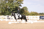 SBM_03622