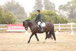 SBM_000920