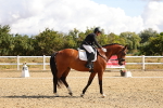 SBM_003654